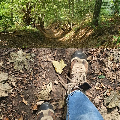 Journée ##2Résonance##2 Qi gong en forêt