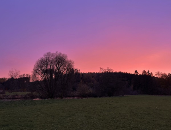 Projection du documentaire ##2Pèlerins de la paix##2